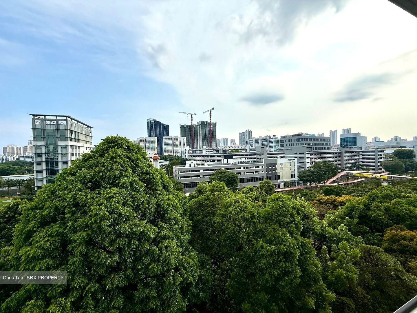 Blk 136 Bishan Green (Bishan), HDB 5 Rooms #542785301